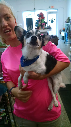 Pet Store «Wag Natural Pet Market & Grooming Tampa», reviews and photos, 304 E Davis Blvd, Tampa, FL 33606, USA