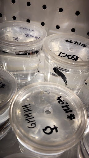 Pet Store «The Pet Shop», reviews and photos, 2235 S Power Rd #107, Mesa, AZ 85209, USA