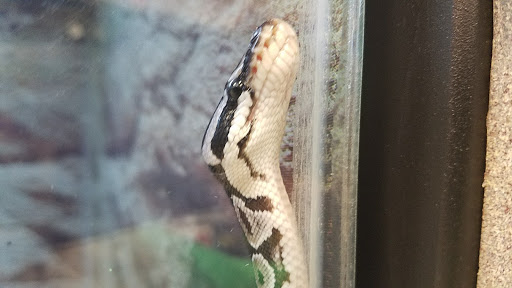 Pet Supply Store «Petco Animal Supplies», reviews and photos, 7721 Mentor Ave, Mentor, OH 44060, USA