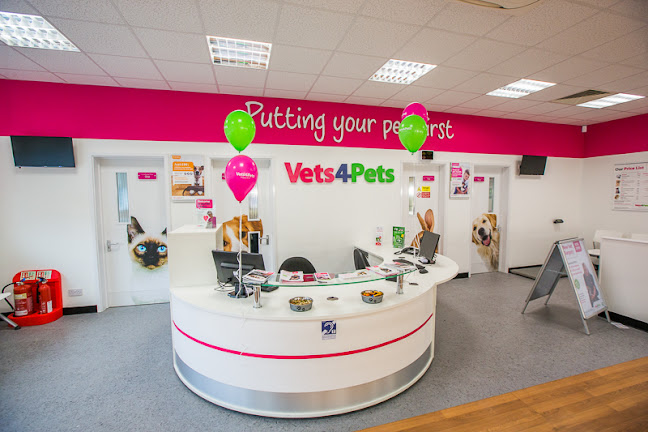Vets4Pets - Oxford Cowley - Oxford