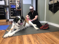 Derry Animal Hospital - Photo 7 - Car repair in Harrisburg, PA, Harrisburg