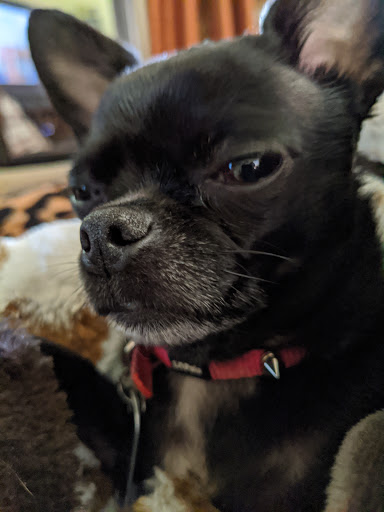 Pet Supply Store «Pet Supplies Plus», reviews and photos, 5161 Gull Rd, Kalamazoo, MI 49048, USA