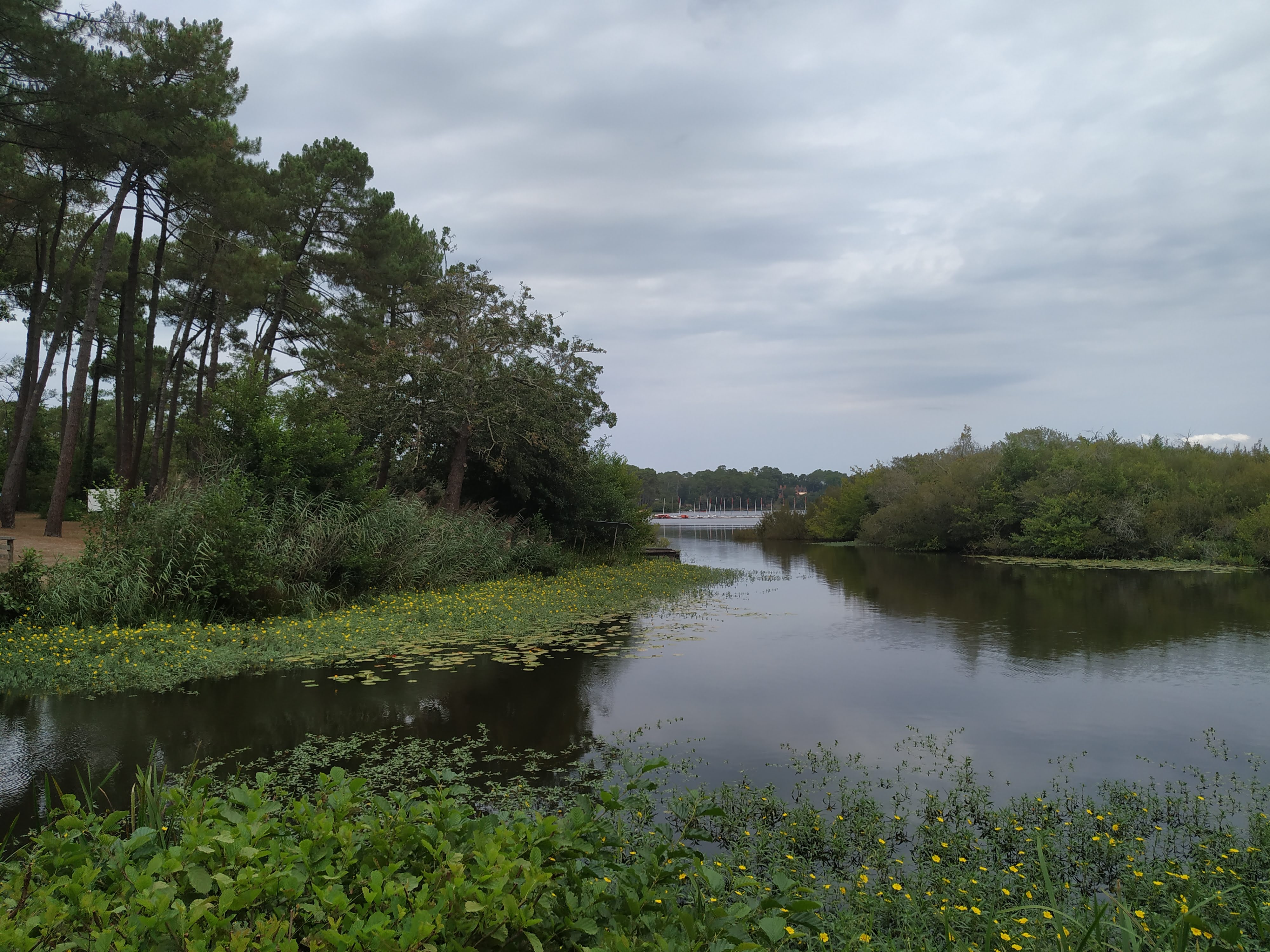 Photo n° 27 de l'avis de emmanuel.6 fait le 27/08/2019 à 16:24