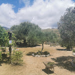 Photo n°2 de l'avis de Gianluca.o fait le 01/08/2020 à 18:39 sur le  Azienda Agricola Oasi Infreschi à Lentiscosa