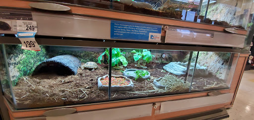 Clothing Store «Ross Dress for Less», reviews and photos, 3050 E Lohman Ave, Las Cruces, NM 88011, USA