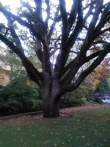 Community Center «Pringle Hall Community Center», reviews and photos, 606 Church St SE, Salem, OR 97301, USA