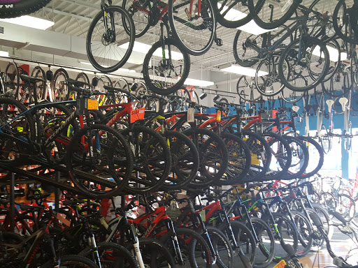 Bicycle Store «All Star Bike Shops Cary», reviews and photos, 1241 Kildaire Farm Rd, Cary, NC 27511, USA