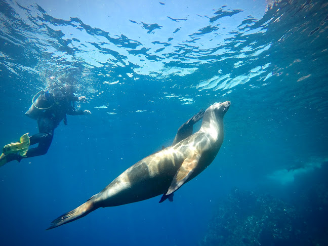 Eagleray Tours Galapagos Diving - Agencia de viajes