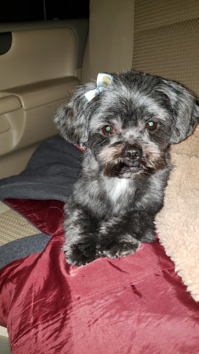 Pet Store «Cross Bronx Pet Shop», reviews and photos, 2064 Cross Bronx Expy, Bronx, NY 10472, USA