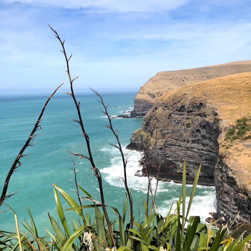 Banks Track / Banks Peninsula, NZ