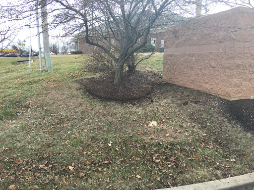 Oil Change Service «Jiffy Lube», reviews and photos, 11 Jiffy St, Wentzville, MO 63385, USA