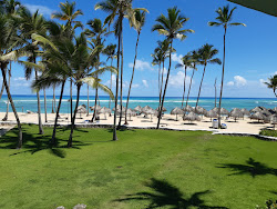 Palmera Plajı'in fotoğrafı çok temiz temizlik seviyesi ile