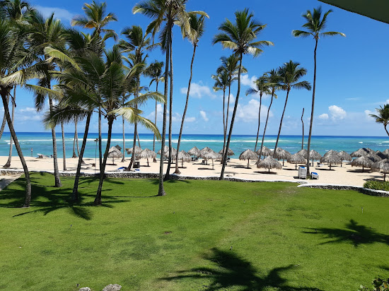 Palmera Plajı