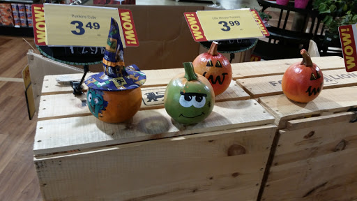 Grocery Store «Food Lion», reviews and photos, 5227 Waterway Dr, Dumfries, VA 22025, USA