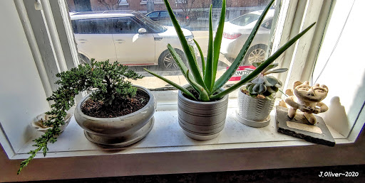 Coffee Shop «Penny Lane Coffeehouse», reviews and photos, 600 SE 2nd St, Evansville, IN 47713, USA