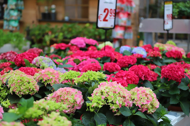 Famiflora Mouscron/Moeskroen openingstijden