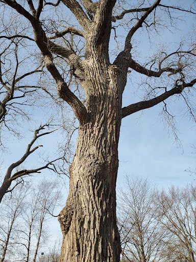 Performing Arts Theater «Prairie Center For the Arts», reviews and photos, 201 Schaumburg Ct, Schaumburg, IL 60193, USA
