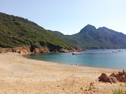 Osani beach'in fotoğrafı birden fazla geniş koy ile birlikte