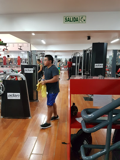 Gym Paradise - Lima 33, Santiago de Surco 15023, Peru