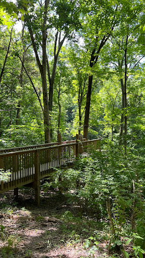 Tourist Attraction «Adventureworks Zipline Forest», reviews and photos, 4129 Whites Creek Pike, Whites Creek, TN 37189, USA