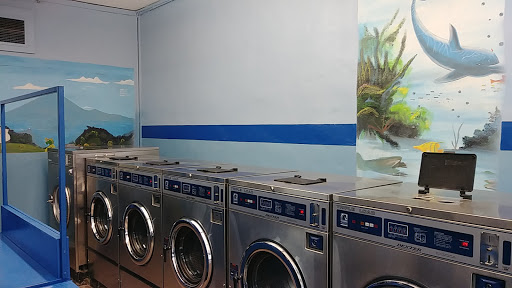 Supermarket «El Valle Verde», reviews and photos, 6717 Vine St, Cincinnati, OH 45216, USA