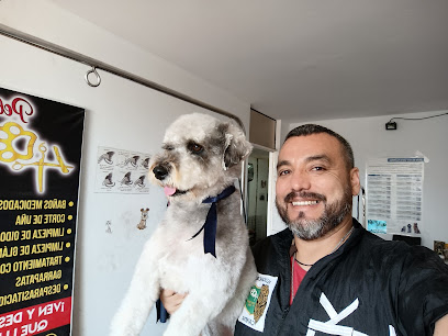 Peluquería Canina 4Dgrooming PET SHOP SPA