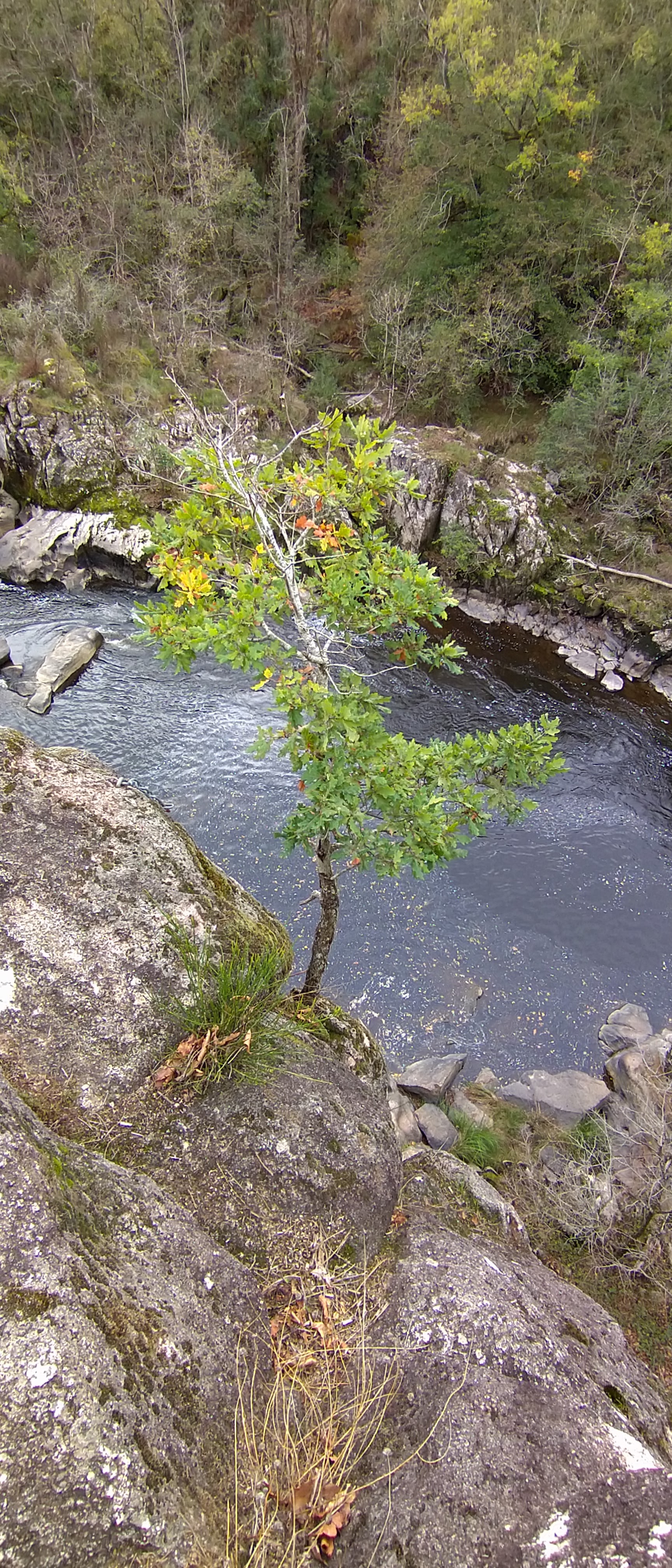 Photo n° 8 de l'avis de loosainto. fait le 27/10/2022 à 15:08