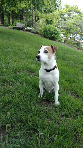 Park «Wallace City Park», reviews and photos, 1600 NW 25th Ave, Portland, OR 97210, USA