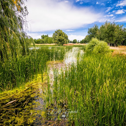 Nature Preserve «Gateway Lakes Natural Area», reviews and photos, 28th Street, Greeley, CO 80634, USA