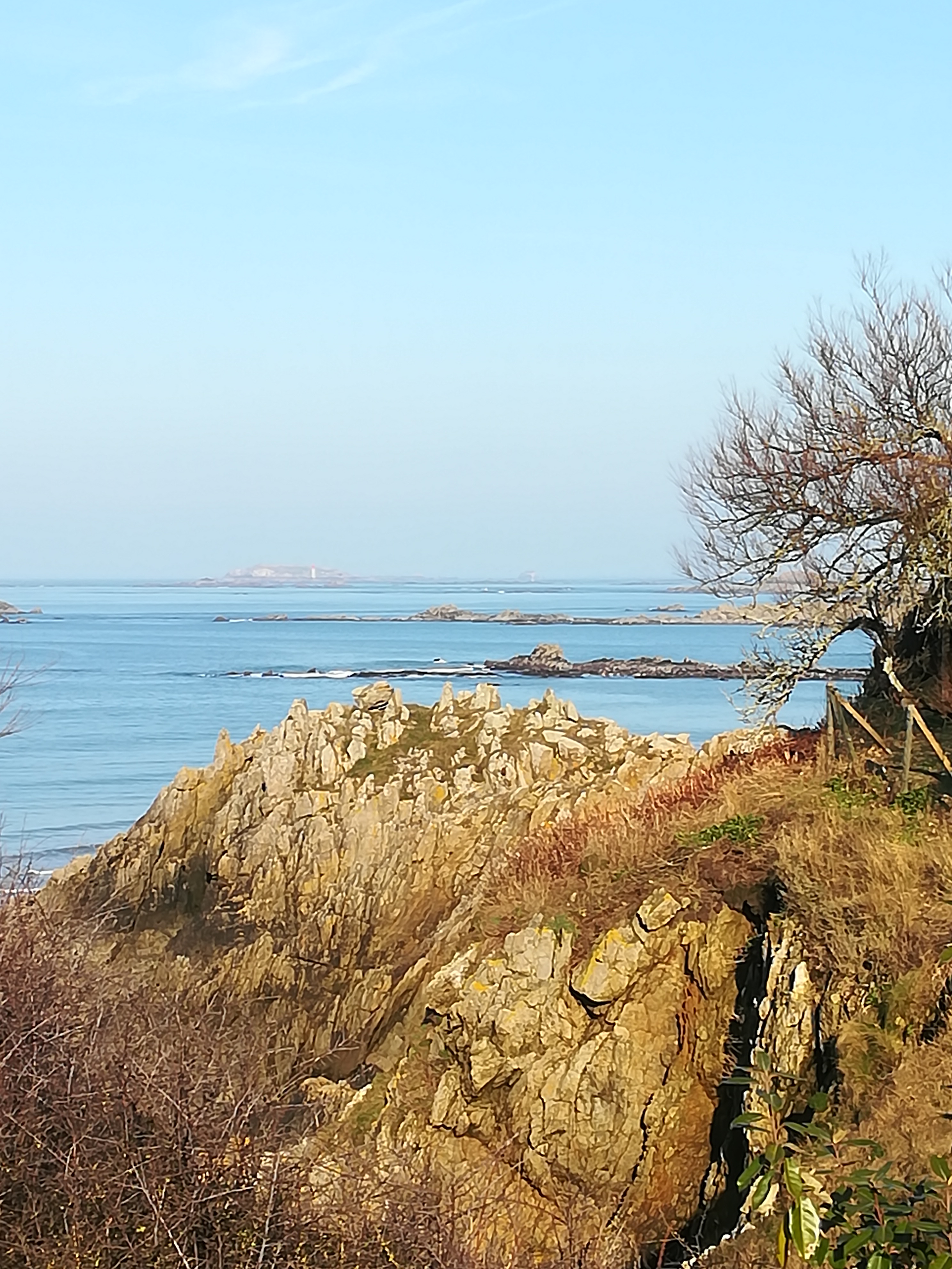 Photo n° 3 de l'avis de michele.u fait le 26/02/2019 à 16:14