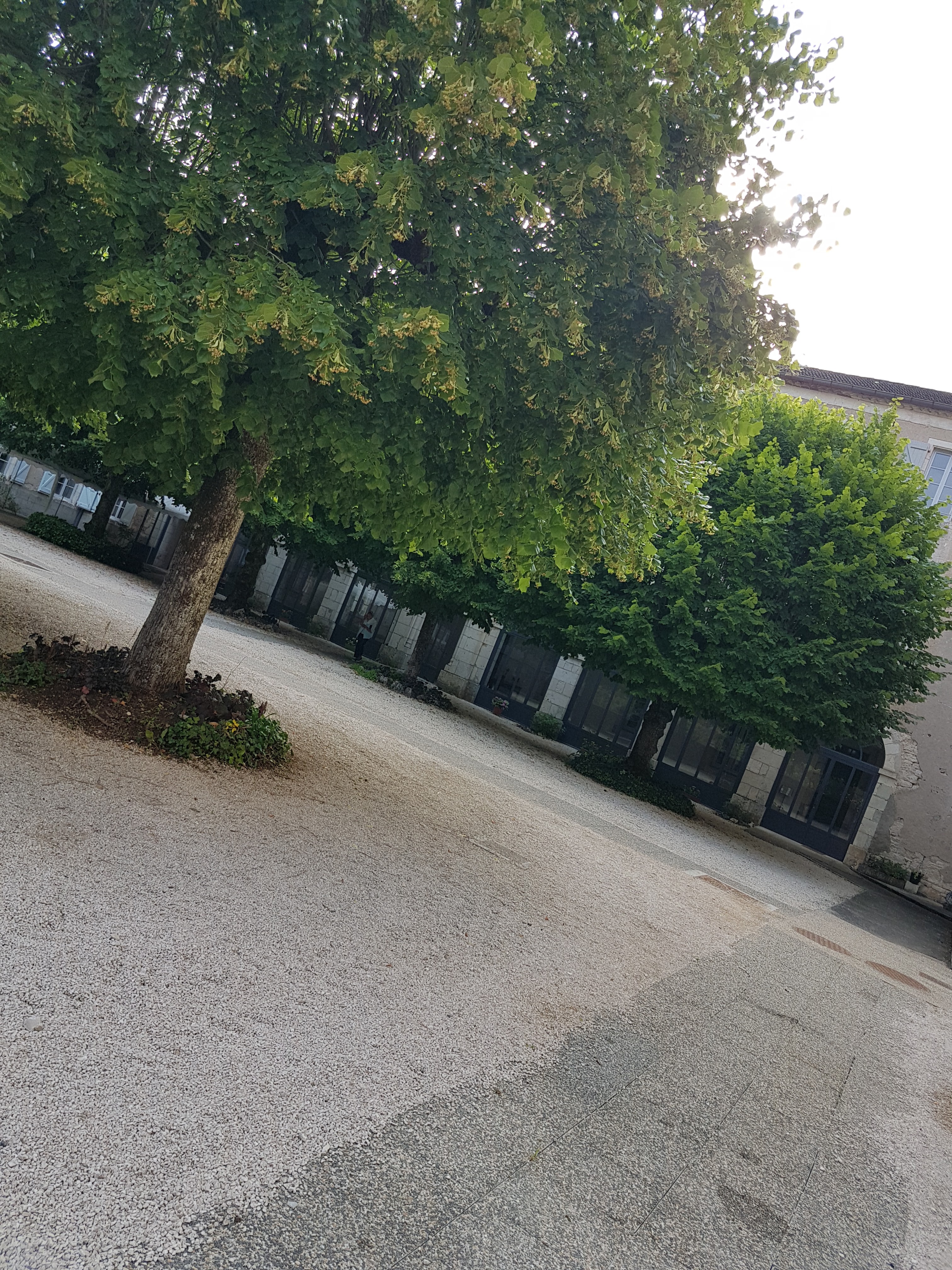 Photo n° 24 de l'avis de Sandrine.A fait le 22/07/2019 à 11:40