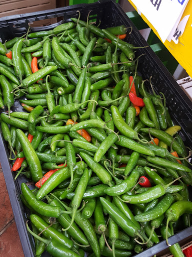 Produce Market «Jams Produce», reviews and photos, 1451 Clearwater Largo Rd N, Largo, FL 33770, USA