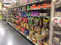Care-A-Lot Pet Supply Indian River - Car repair in Virginia Beach, VA, Virginia Beach - Rated 4.6/5
