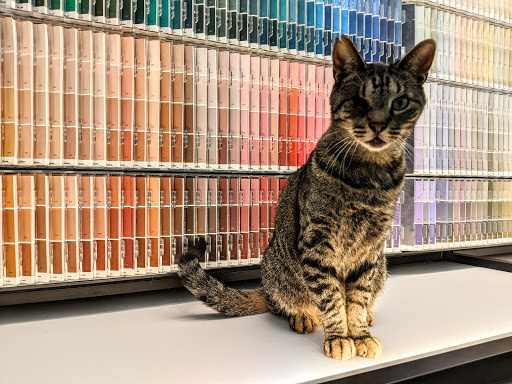 Hardware Store «Do It Best», reviews and photos, 609 W Monroe St, Bangor, MI 49013, USA