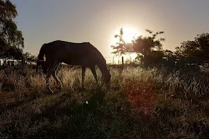 Cabalgatas del Indio image