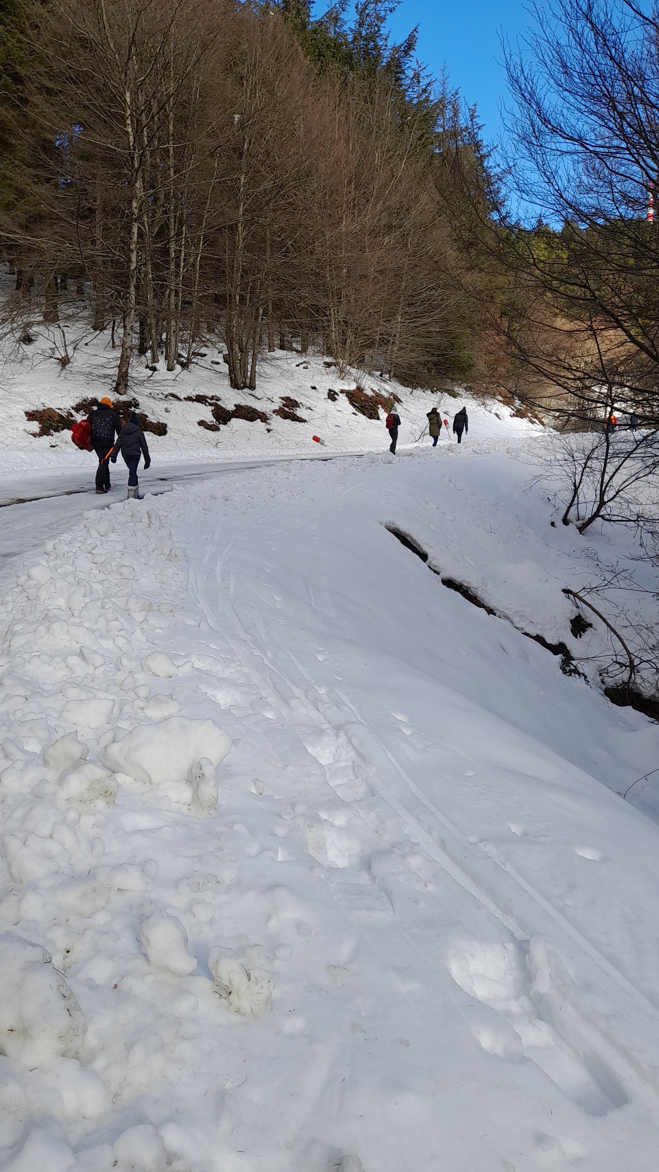 Photo n° 9 de l'avis de Cédric.o fait le 19/02/2023 à 08:07