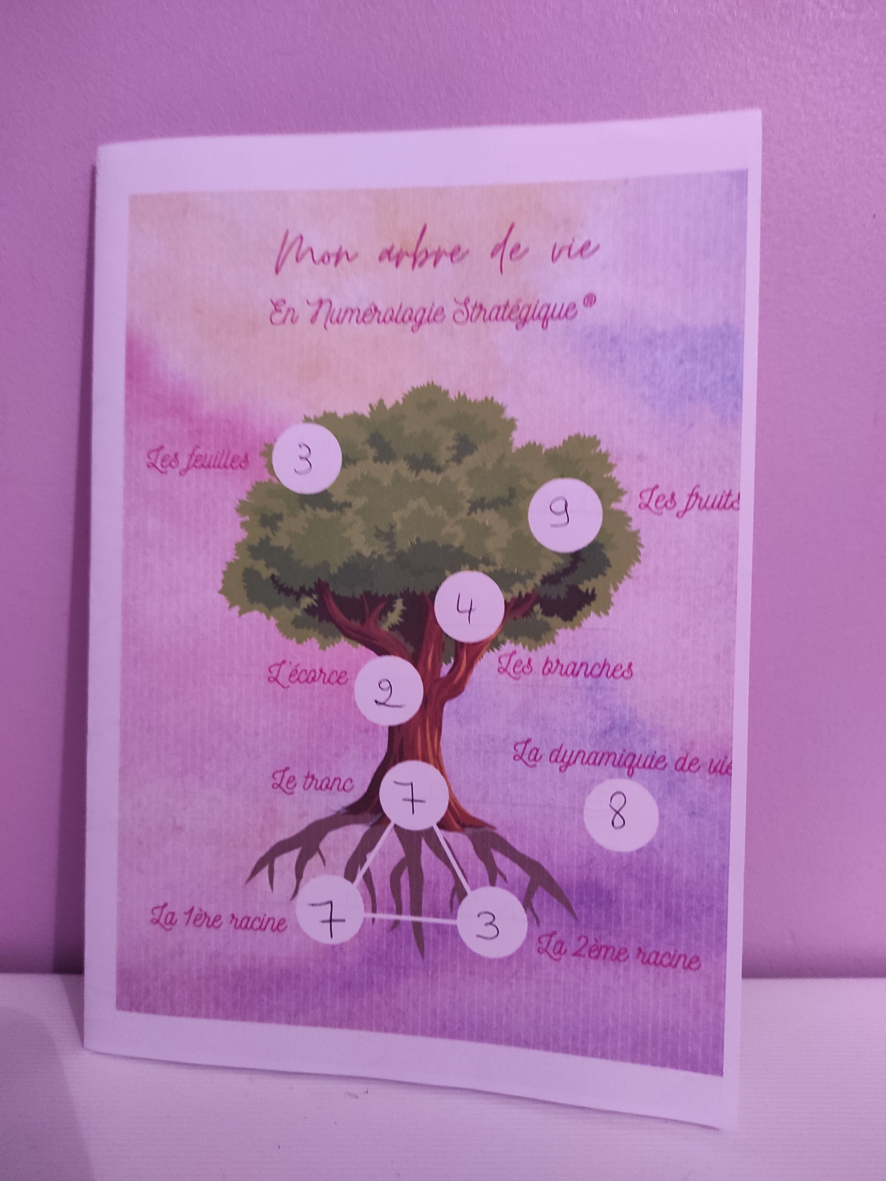 Photo n° 1 de l'avis de Stéphanie.o fait le 18/10/2023 à 07:48