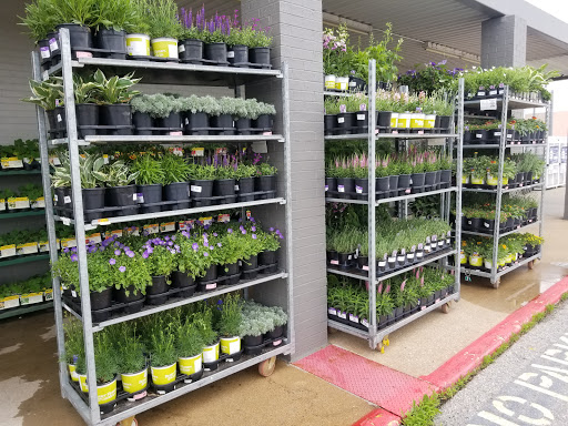 Discount Store «Walmart», reviews and photos, 1511 Camp Jackson Rd, Cahokia, IL 62206, USA