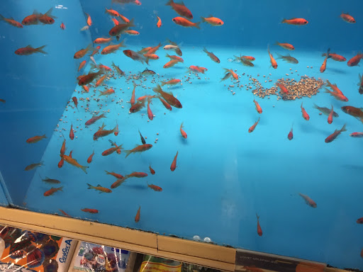 Pet Supply Store «PetSmart», reviews and photos, 1015 Village Center Dr, Tarentum, PA 15084, USA