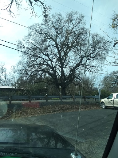 Clear Lake Gleaners Inc