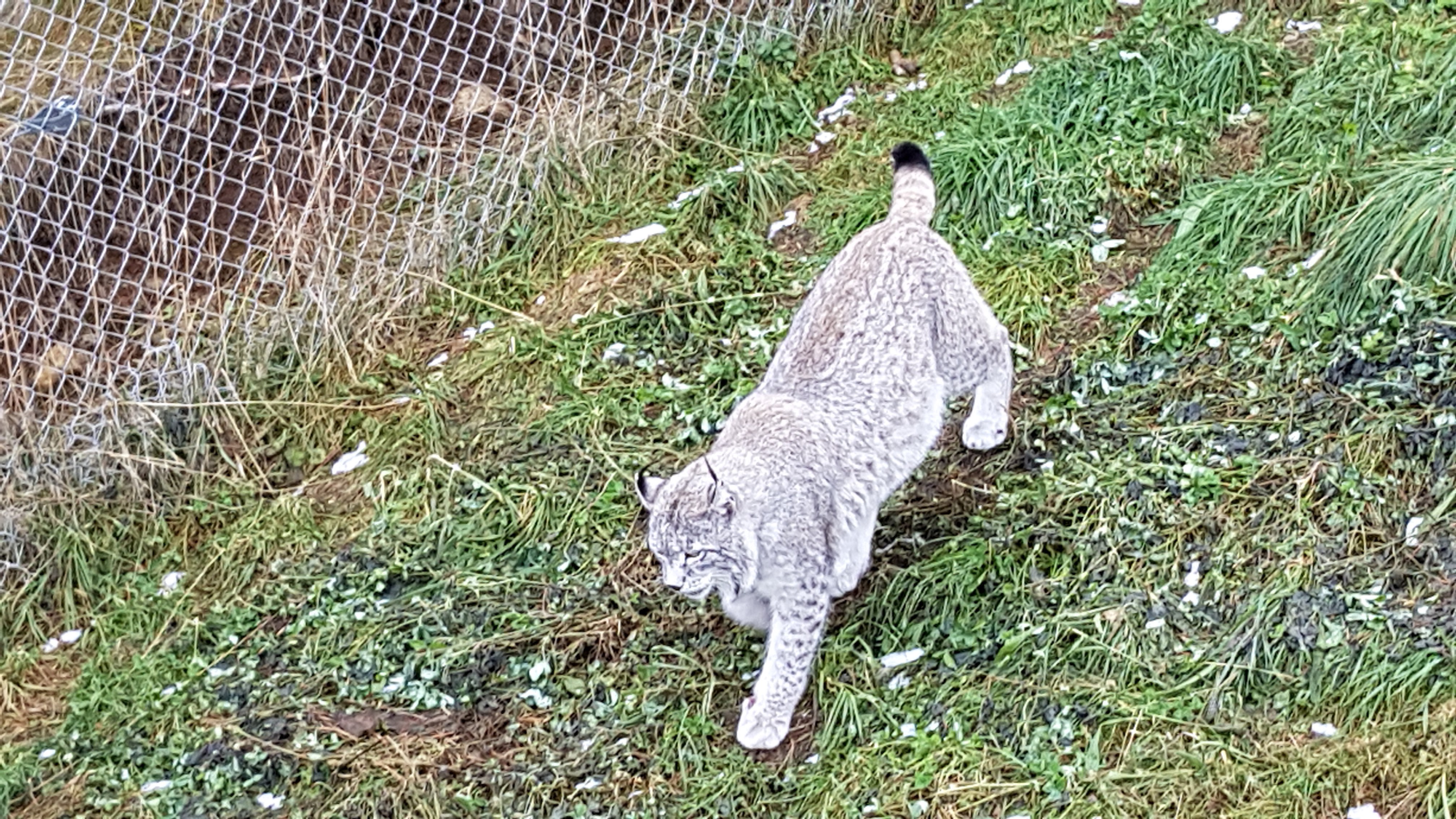 Photo n° 36 de l'avis de Nikolay.H fait le 26/12/2018 à 23:51