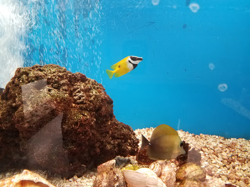 Pet Store «Pet World Warehouse Outlet», reviews and photos, 2984 S 108th St, Milwaukee, WI 53227, USA