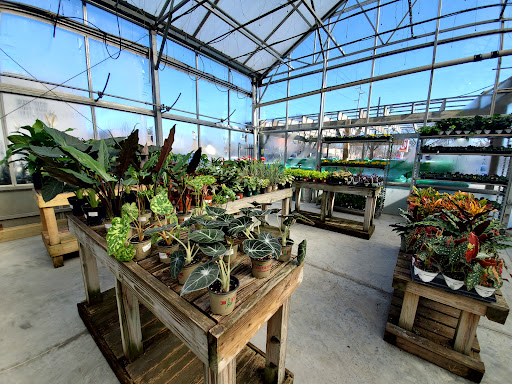 Hardware Store «Sullivan Hardware», reviews and photos, 4838 N Pennsylvania St, Indianapolis, IN 46205, USA