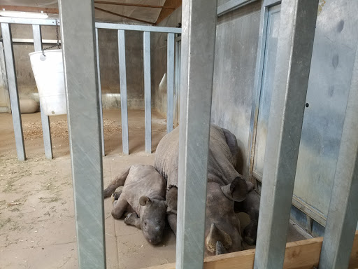 Zoo «Blank Park Zoo», reviews and photos, 7401 SW 9th St, Des Moines, IA 50315, USA