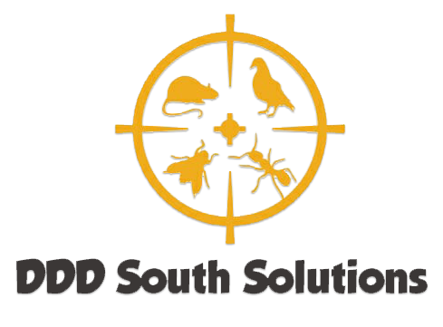 Opinii despre DDD South Solutions SRL în <nil> - Servicii de deratizare