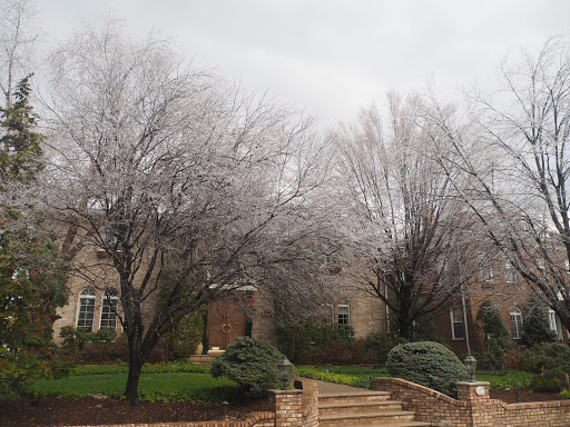 Park «Palisades Park Recreation Area», reviews and photos, 676 Undercliff Ave, Edgewater, NJ 07020, USA