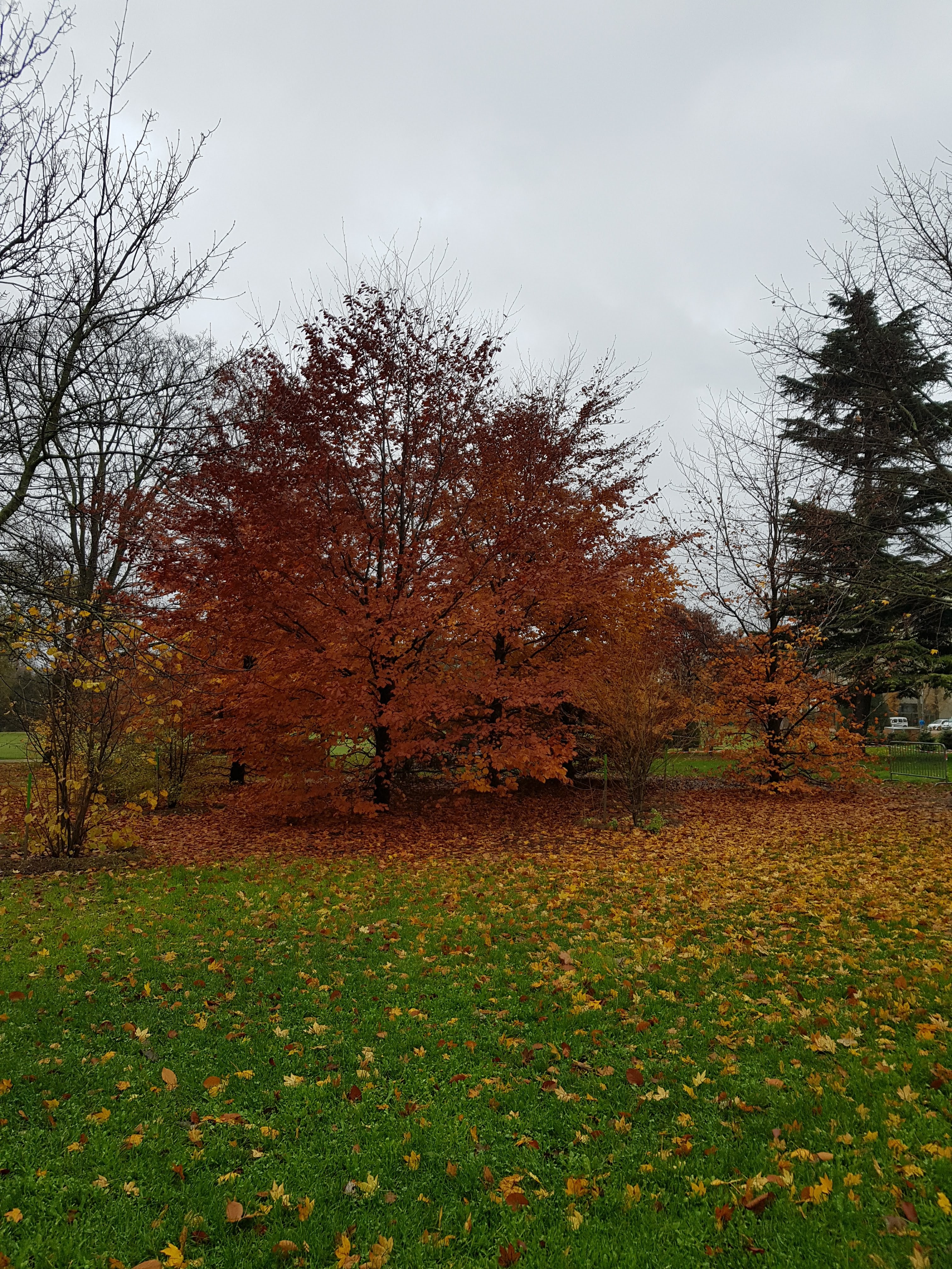 Photo n° 1 de l'avis de isabelle.e fait le 07/12/2019 à 10:56