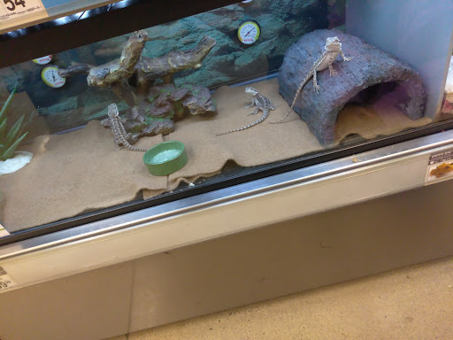 Pet Supply Store «Petco Animal Supplies», reviews and photos, 10055 Wellington Rd, Manassas, VA 20110, USA