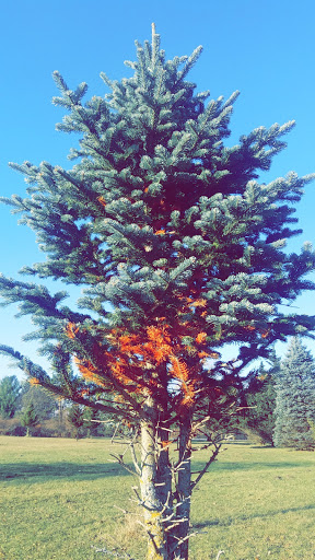 Nature Preserve «For-Mar Nature Preserve & Arboretum», reviews and photos, 2142 N Genesee Rd, Burton, MI 48509, USA