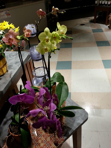 Supermarket «Big Y», reviews and photos, 141 Storrs Rd, Mansfield Center, CT 06250, USA